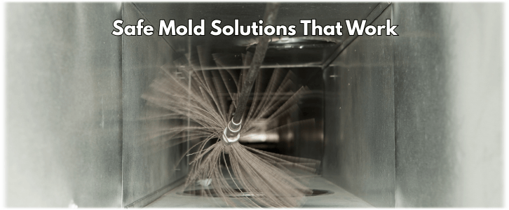 Air Duct Mold Removal in Mesquite