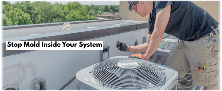 HVAC Mold Removal Mesquite